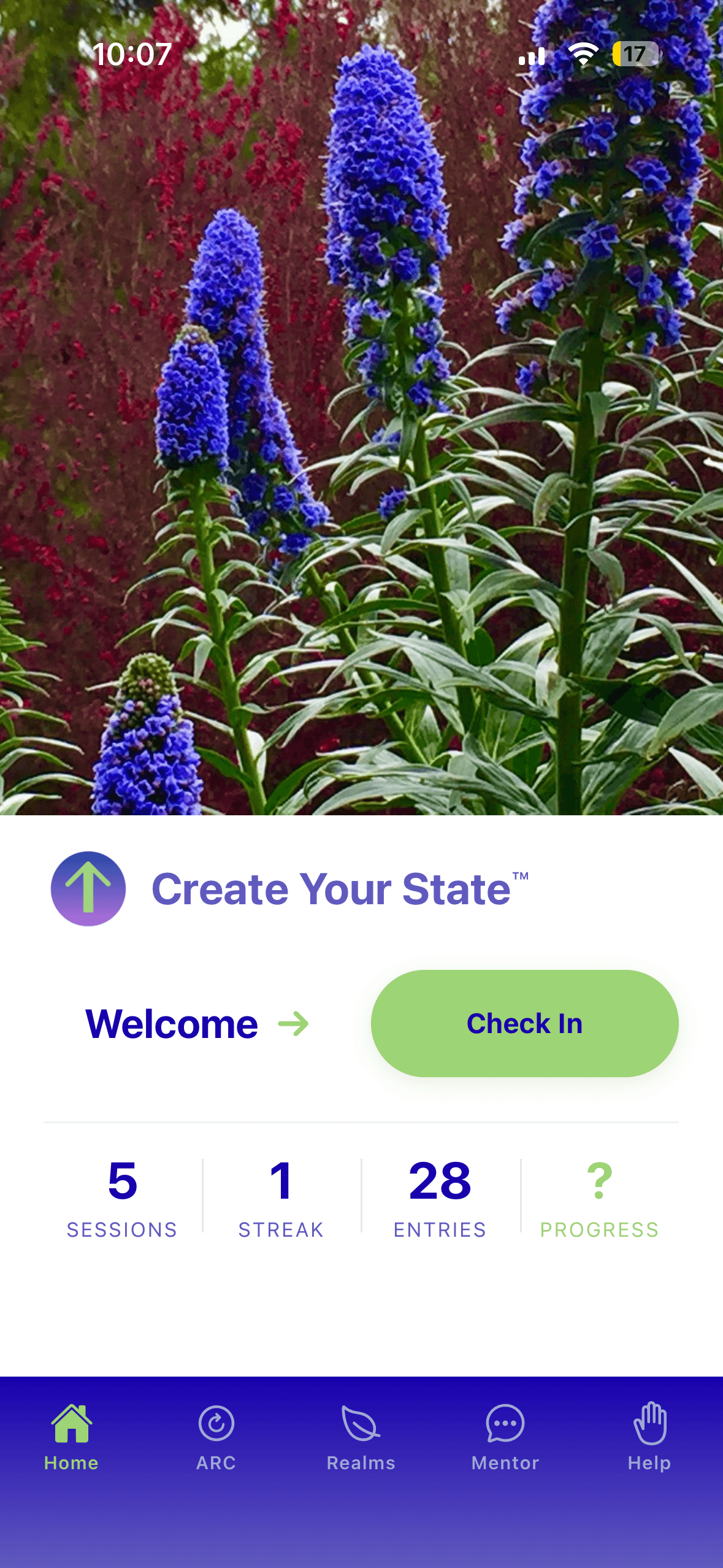 The Create Your State™ app home screen on an iPhone: a nature photograph of blue flowers above the app logo, a Welcome greeting beside a green Check In button, a row reading 5 sessions, 1 streak, 28 entries and progress, and a bottom navigation bar with Home, ARC, Realms, Mentor and Help.
