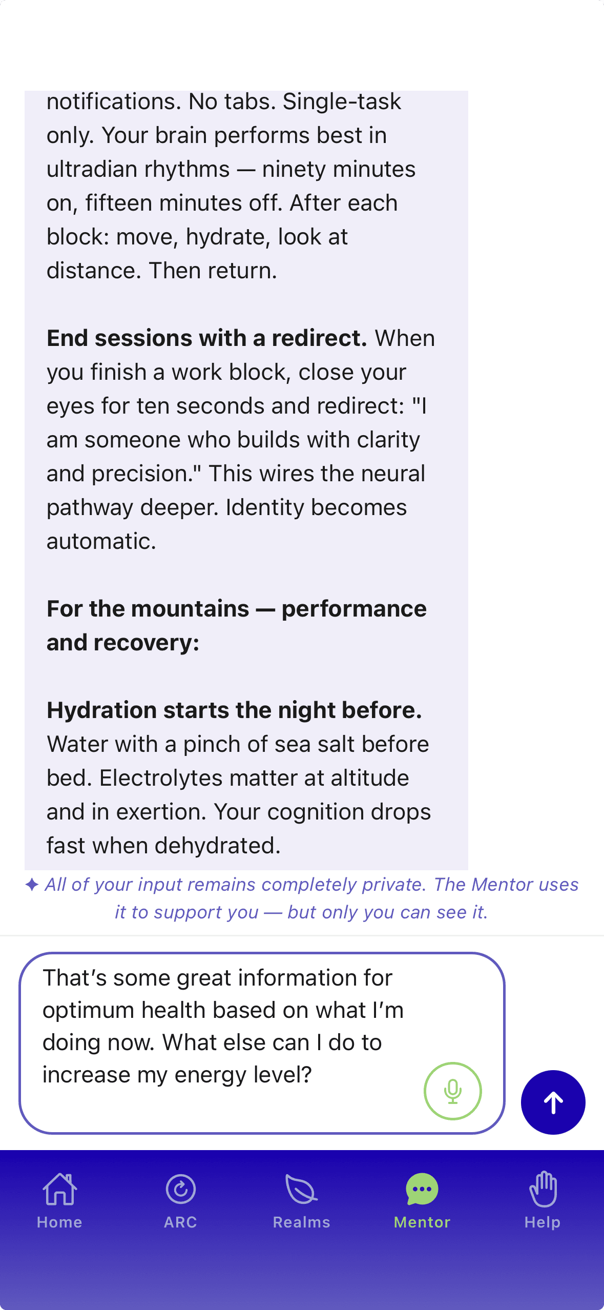 A conversation with the Mentor on an iPhone, giving detailed guidance on work blocks and hydration, with a note that all input stays private and the user's reply below.