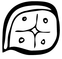 Maya day sign Lamat