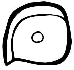 Maya day sign Muluk